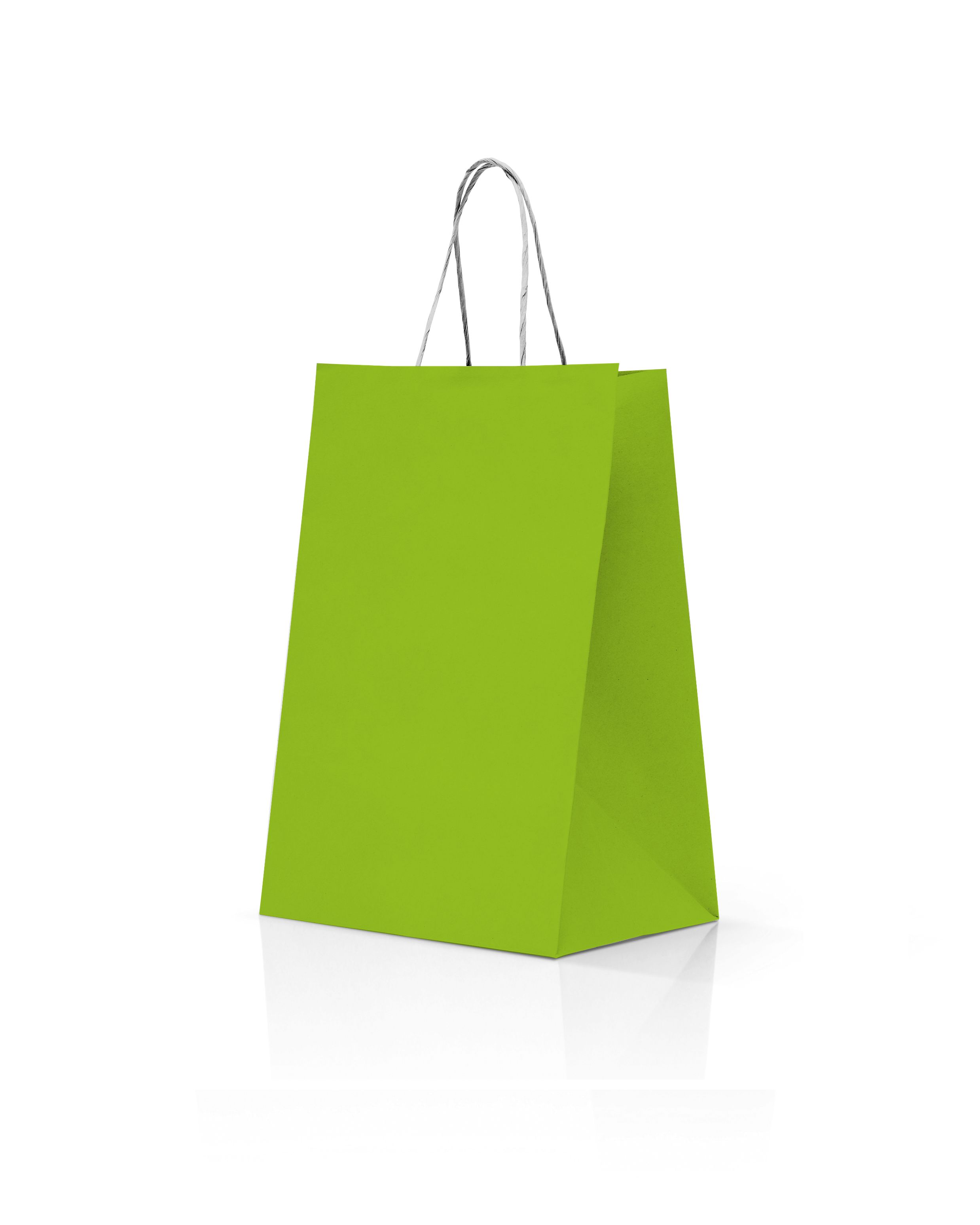 sac kraft vert pomme poignées torsadées 35+14x44 cm