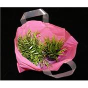 Sac plastique réutilisable translucide 32+4/4x30 cm