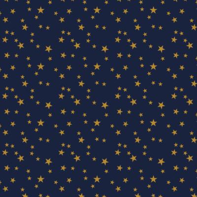 Bobine de papier cadeau bleu etoiles 0,70 x 100 m