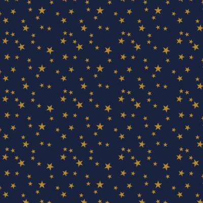 Bobine de papier cadeau bleu etoiles 0,70 x 100 m